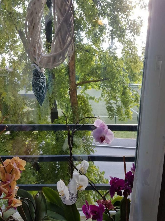 Studio Apartman Zagreb Zapad Vrapce Εξωτερικό φωτογραφία